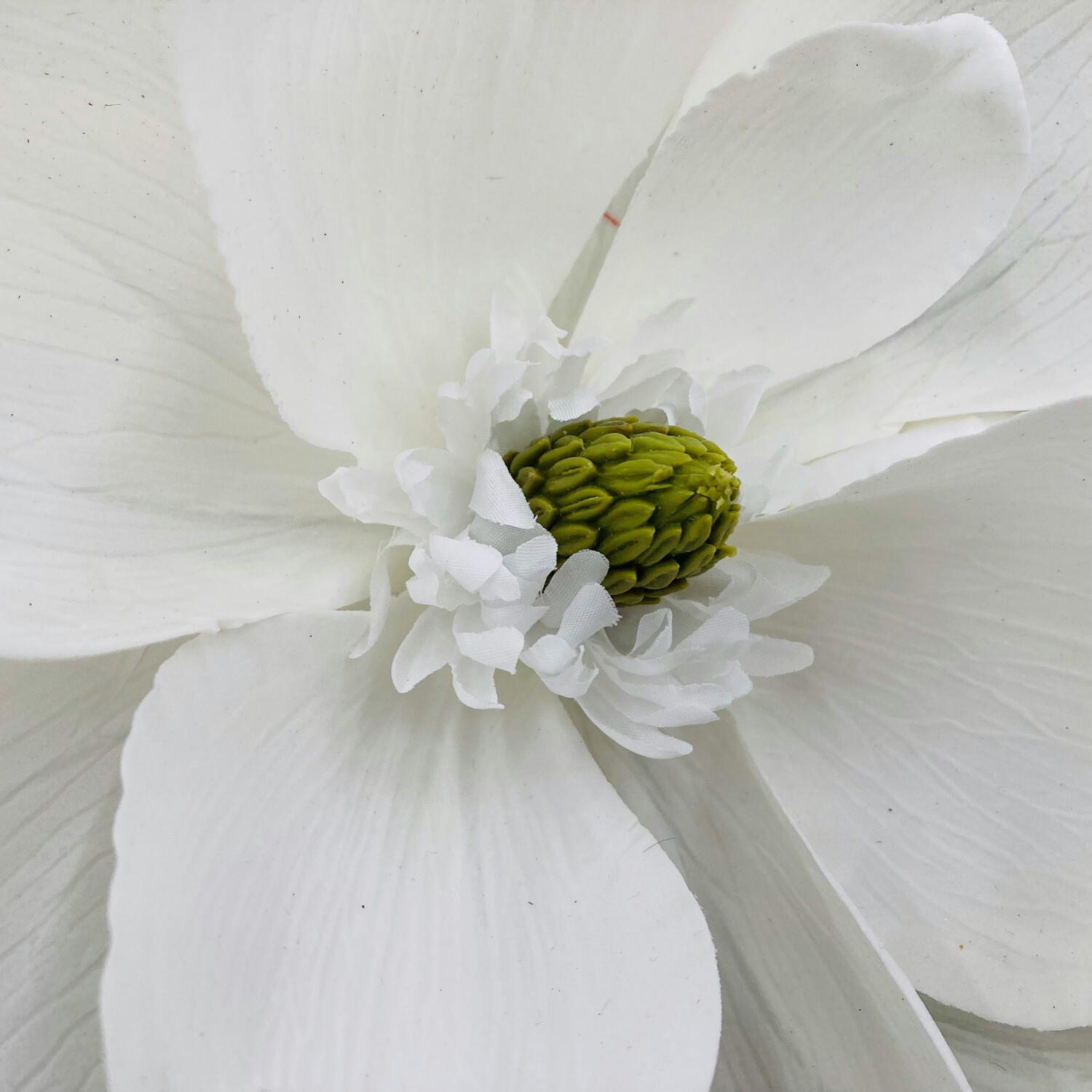 Lynne-Essential Compression Socks